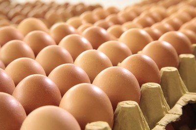 荆门鸡蛋检测价格,鸡蛋检测机构,鸡蛋检测项目,鸡蛋常规检测